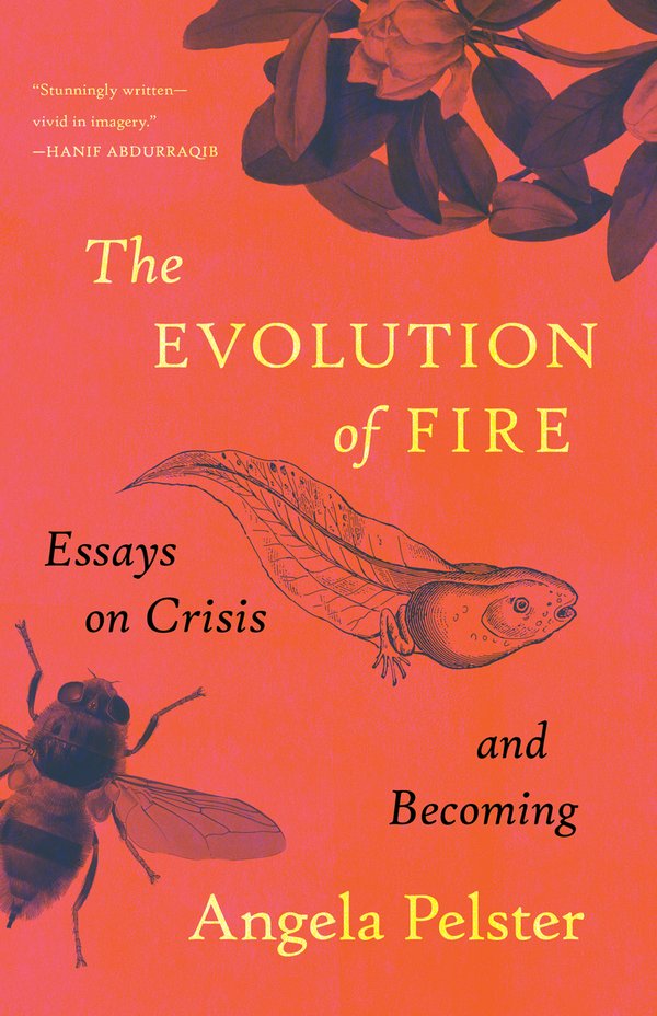 Cover of The Evolution Of Fire: Essays On Crisis And Becoming