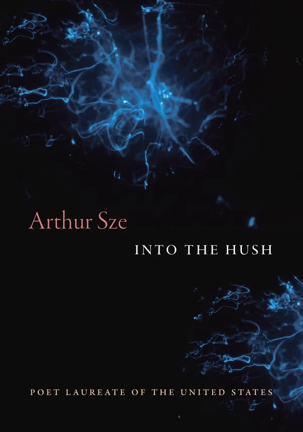 Into The Hush cover