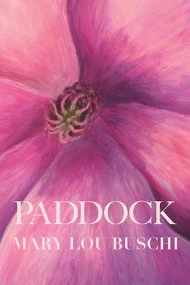 Paddock cover