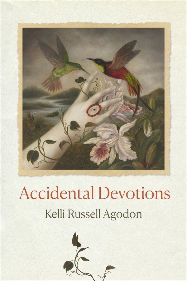 Accidental Devotions cover