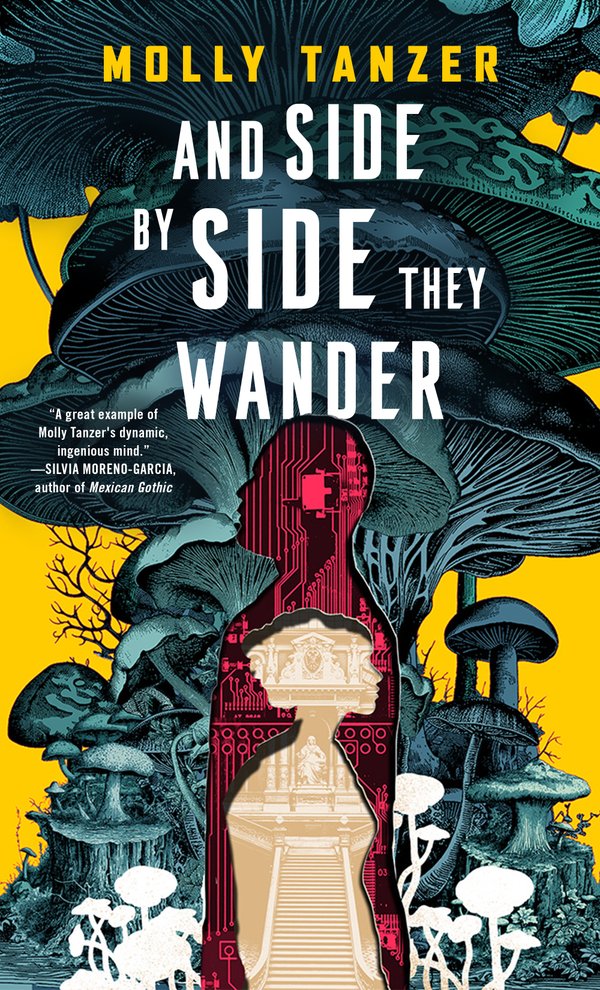 And Side By Side They Wander cover